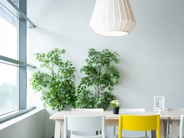Minimalist Philosophy Simple Living - Desain Rumah Minimalis
