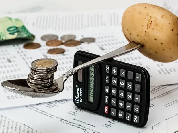 Money Management Financial Planning