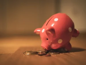 Money Saving Piggy Bank