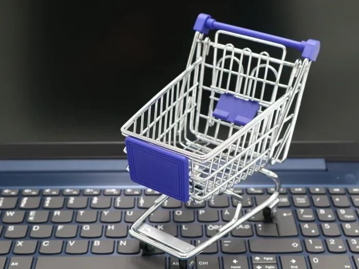 Online Store Shopping Cart Website Platform - Bisnis Online Untuk Pemula