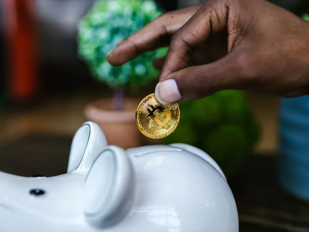 Piggy Bank Graduation Cap - Jenis Asuransi Jiwa