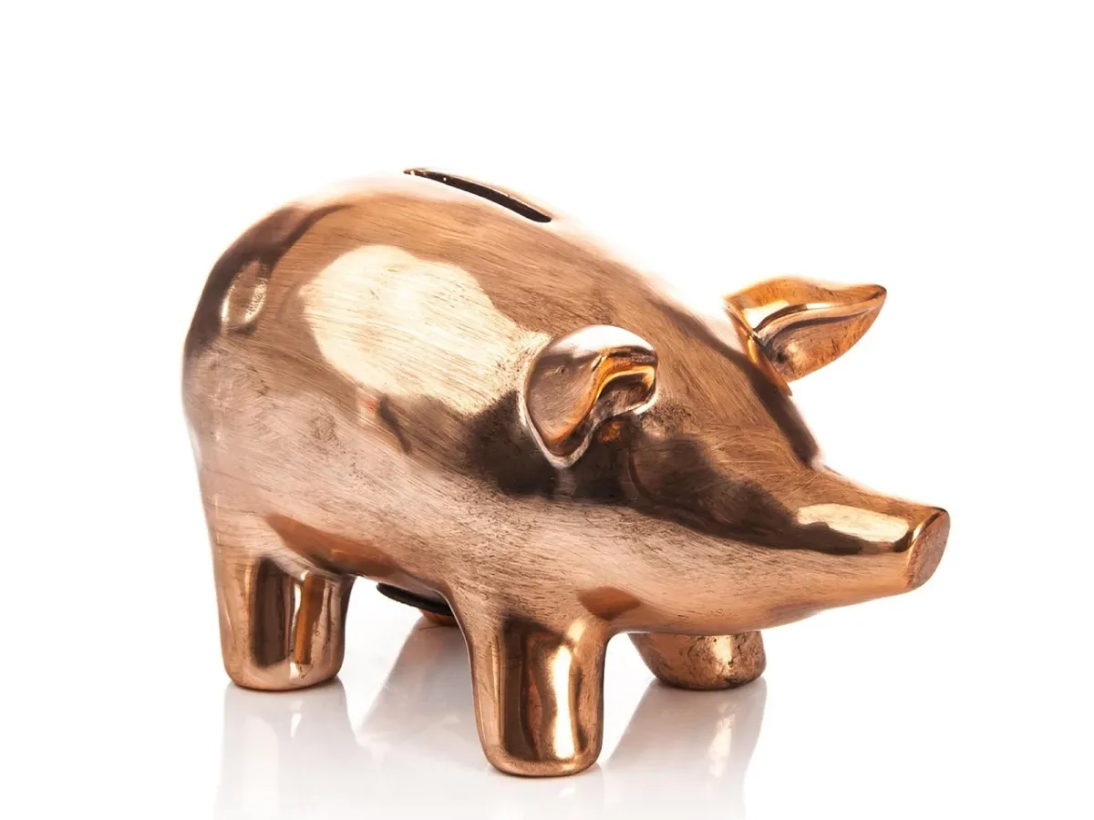 Retirement Fund Piggy Bank - Asuransi Dana Pensiun