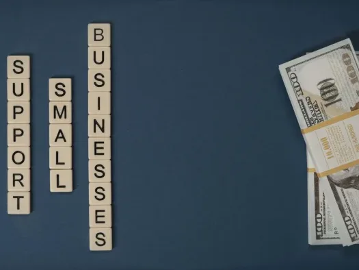 Small Business Owner Money Growth - Pinjaman BRI